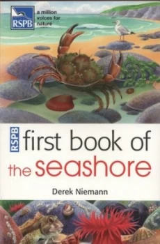 Image of Rspb First Book of the Seashore by Derek Niemann Paperback