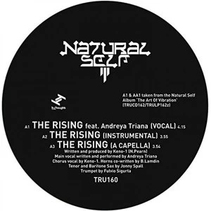 Image of Natural Self - The Rising Vinyl