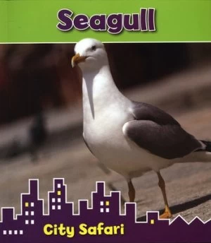 Image of Seagull by Isabel Thomas Book
