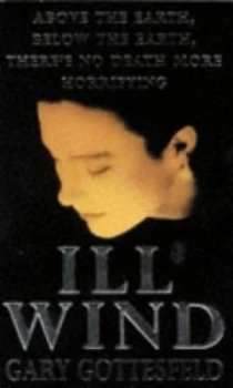 Image of Ill Wind by Gary Gottesfeld Paperback