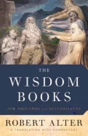 Image of wisdom books job proverbs and ecclesiastes a translation with commentary