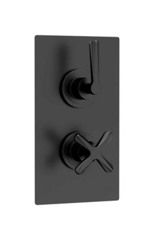 Image of nuie Aztec Twin Thermostatic Concealed Shower Valve - 1 Outlet - Black CLL4210