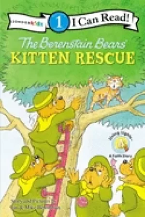 Image of berenstain bears kitten rescue