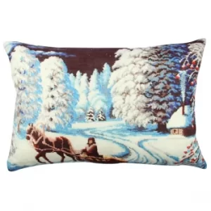 Image of A50939 Multicolor Cushion