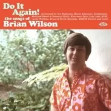 image of Do It Again! The Songs of Brian Wilson