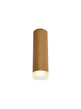 image of 1 Light 20cm Surface Mounted Ceiling GU10, Champagne Gold, Acrylic Ring