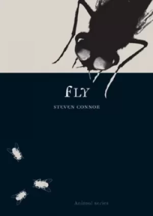 Image of Fly by Steven Connor