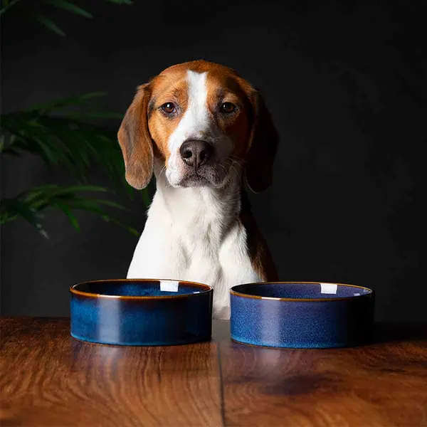 Image of Scruffs Luxirous Reactive Glaze Dog Bowl Set - Blue 15cm SET/RCD/829108
