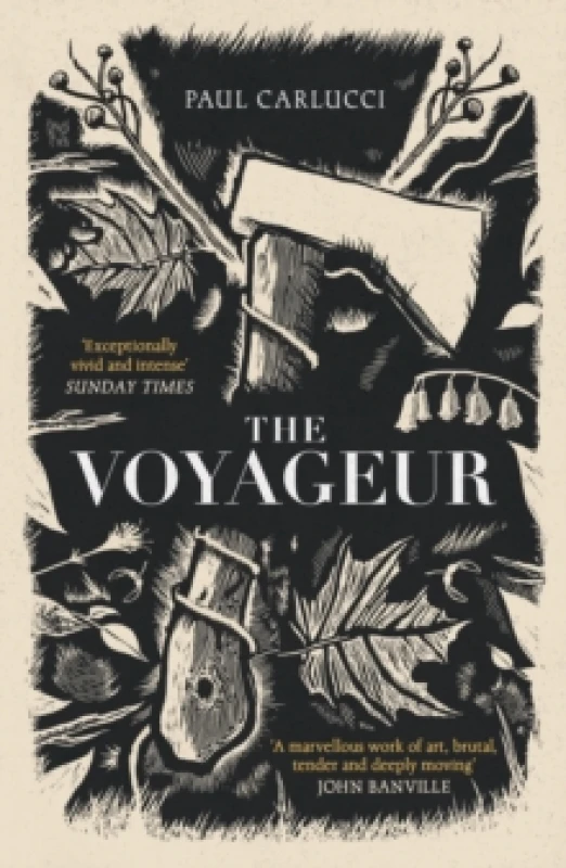 Image of The Voyageur : 'A marvellous work of art' John Banville Paperback / softback