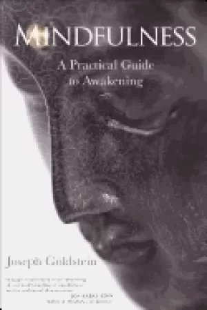 Image of mindfulness a practical guide to awakening