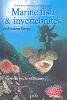 Image of Marine Fish & Invertebrates of Northern Europe