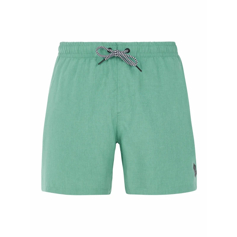 Image of Protest Swim shorts Protest Davey Vert Male XS