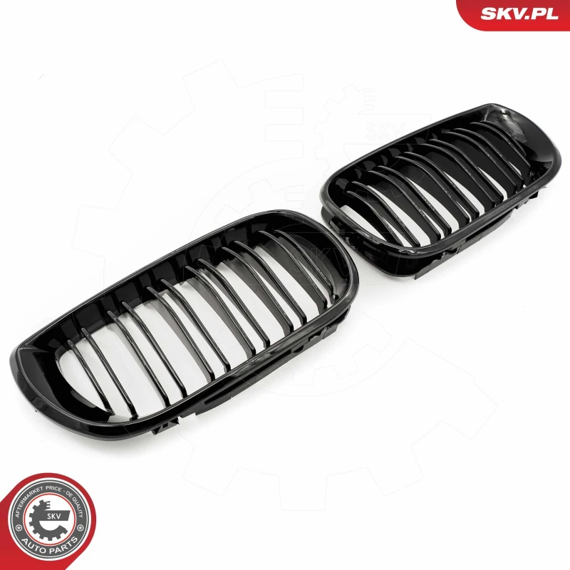 Image of ESEN SKV Radiator Grille ESEN SKV 66SKV081