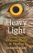 Image of heavy light a journey through madness mania and healing