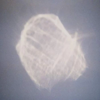 Image of Benoit Pioulard - Temper CD
