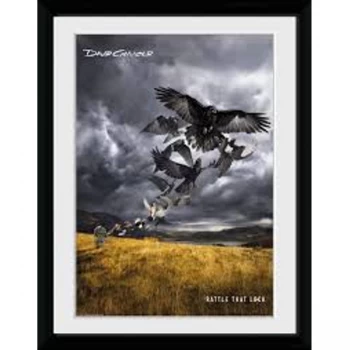 image of David Gilmour - LP Cover Collector Print