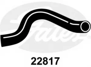 Image of Curved Radiator Hose 310mm X 37 Gates 22817