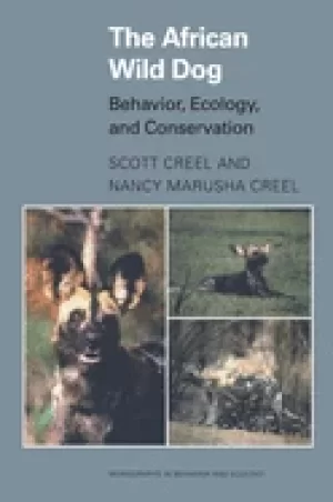 Image of african wild dog behavior ecology and conservation