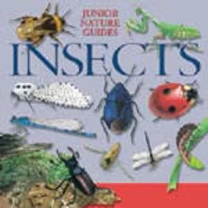 Image of Insects Hardback