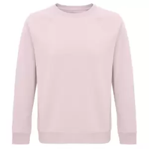 Image of SOLS Unisex Adult Space Organic Raglan Sweatshirt (3XL) (Pale Pink)