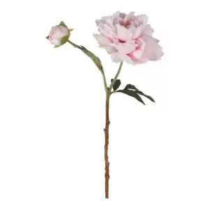Image of Gallery Interiors Set of 6 Taylor Peony Spray Pink