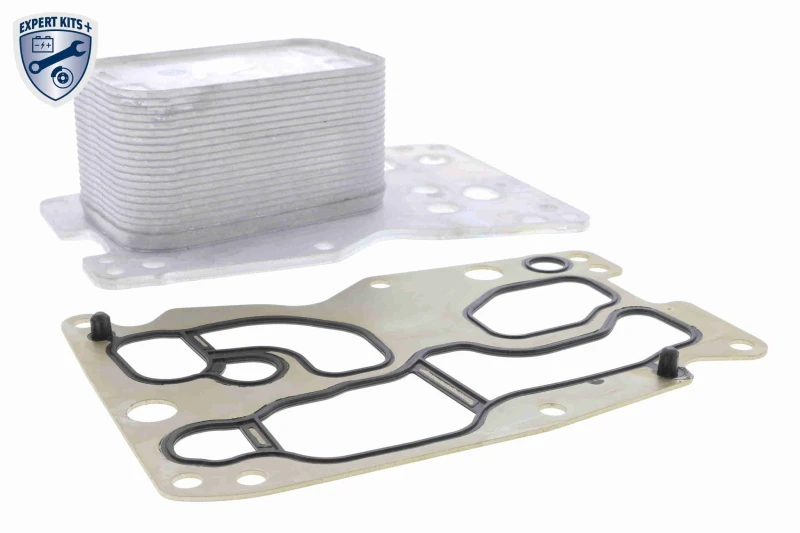 Image of Engine oil cooler VEMO V20-60-0076