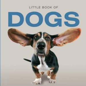 Image of Little Book of Dogs by Jon Stroud Book