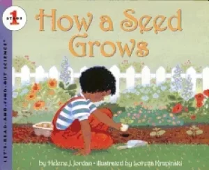 Image of how a seed grows