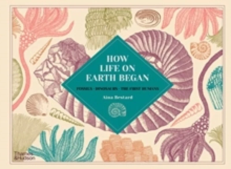 Image of Aina Bestard How Life on Earth Began Book Multi unisex