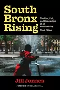 Image of south bronx rising the rise fall and resurrection of an american city