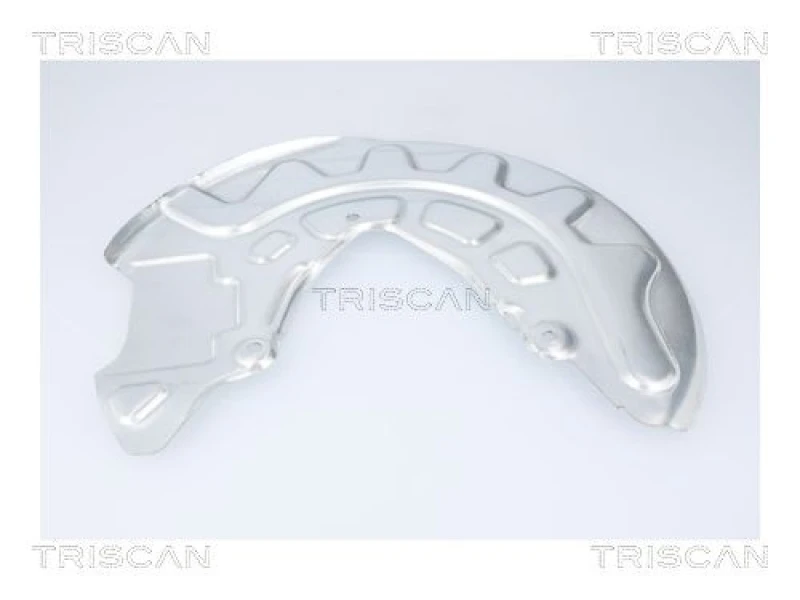 Image of TRISCAN Brake disc backing plate TRISCAN 8125 29106