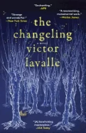 Image of changeling a novel