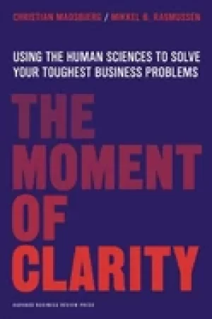 Image of moment of clarity using the human sciences to solve your toughest business