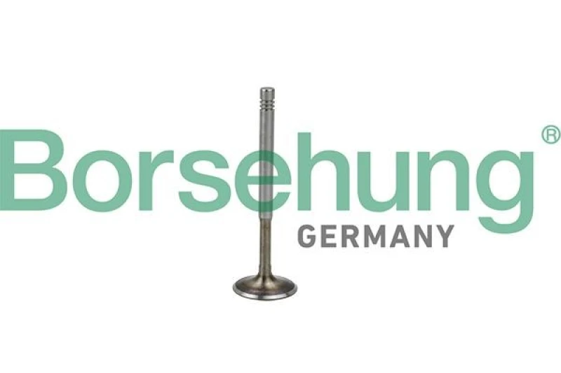 Image of Borsehung Exhaust valve Borsehung B19009