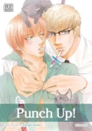 Image of punch up vol 2