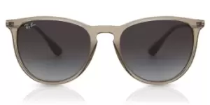 Ray-Ban Sunglasses RB4171 Erika 65138G