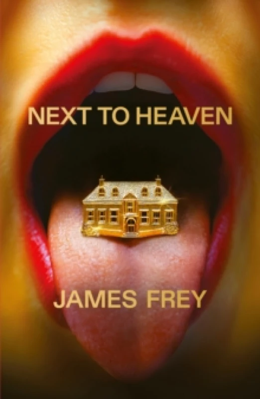 Image of Next to Heaven : The PROVOCATIVE new novel from BESTSELLING author of A Million Little Pieces Hardback