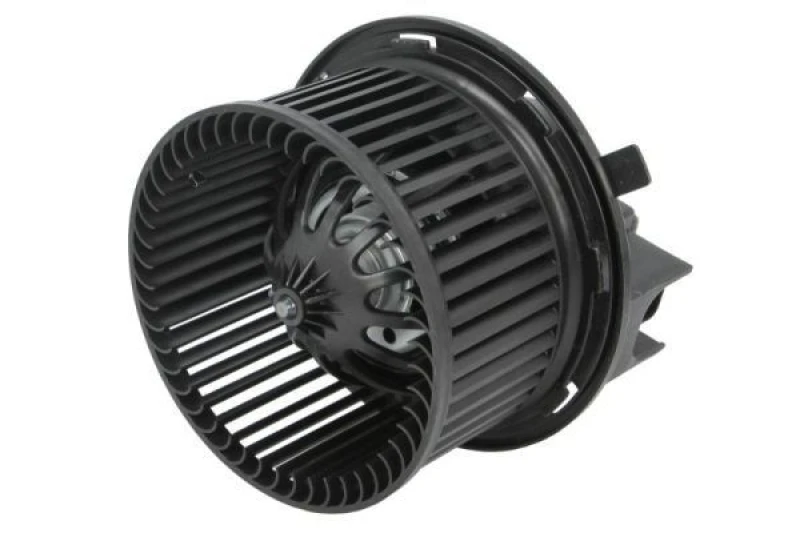 Image of THERMOTEC Blower motor THERMOTEC DDY008TT