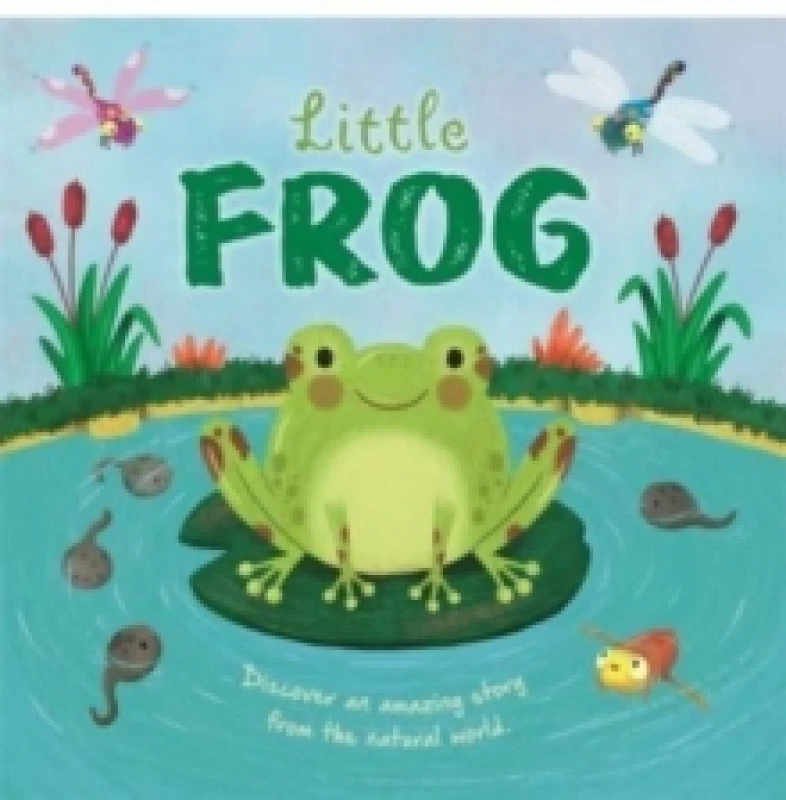 Image of Little Frog Hardback