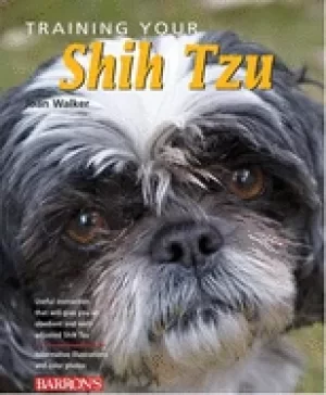 Image of training your shih tzu