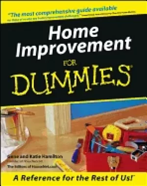 Image of home improvement for dummies
