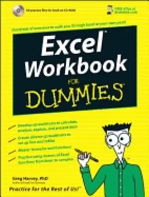 Image of excel workbook for dummies for dummies