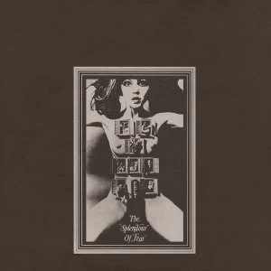 Image of Felt - The Splendour Of Fear Deluxe Remastered Gatefold Sleeve Edition Vinyl
