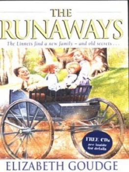 Image of The Runaways by Elizabeth Goudge Paperback