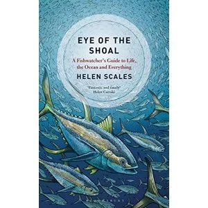 Image of Eye of the Shoal A Fish-watcher's Guide to Life, the Ocean and Everything Paperback 2018