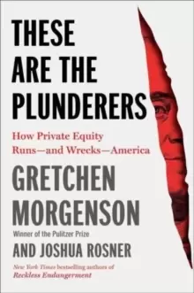 Image of These Are the Plunderers : How Private Equity Runs-and Wrecks-America