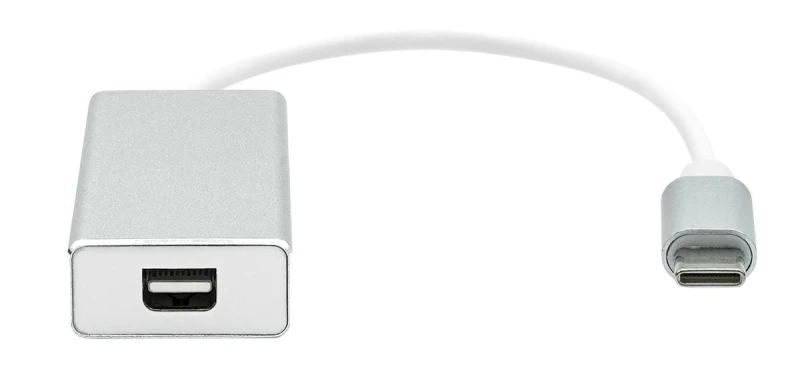 Image of ProXtend US-C o Mini DP 20cm silver