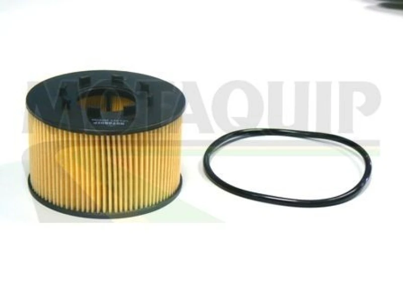Image of MOTAQUIP Oil filter MOTAQUIP VFL467