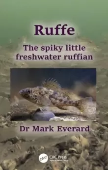 Image of Ruffe : The spiky little freshwater ruffian