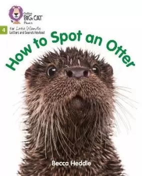 Image of How to Spot an Otter by Becca Heddle